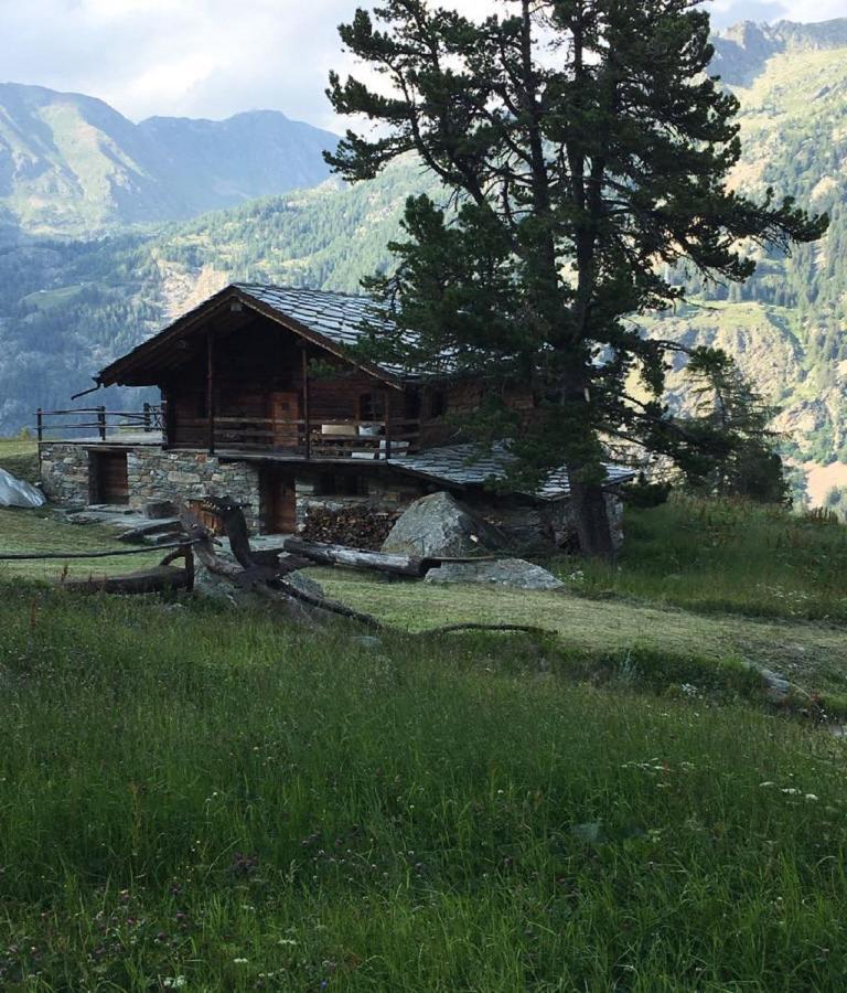 Villa Baite Cialvrina Gressoney-Saint-Jean Exterior foto